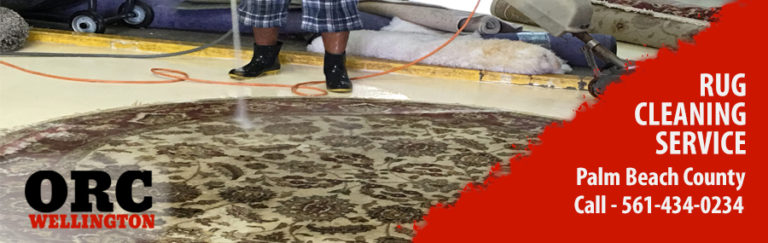Special Oriental Rug Cleaning in Wellington