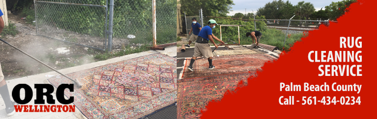 Oriental Rug Cleaning in Wellington