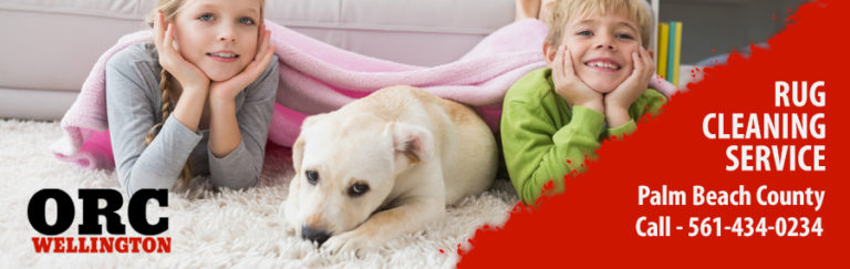 Pet Stain Removal Wellington