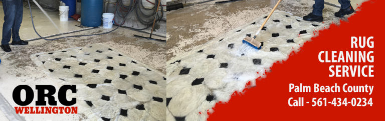 Wool Rug Cleaning Wellington