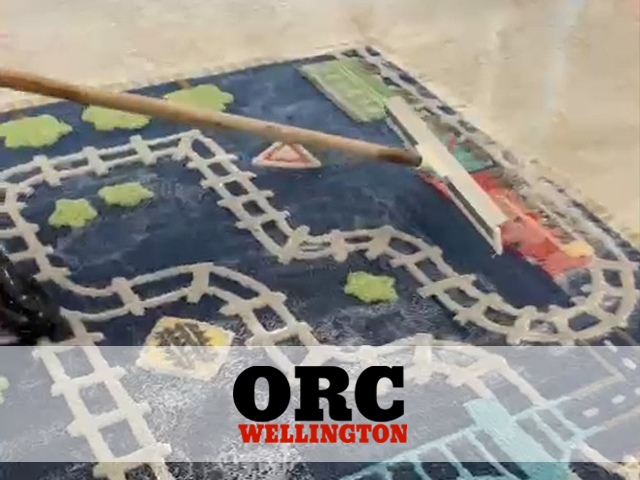 Area Rug Cleaning