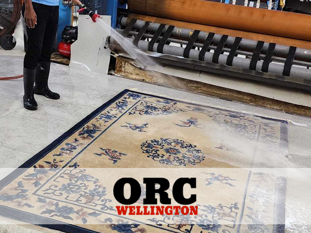 Modern Rug Cleaning Service Modern Rug Cleaning Service