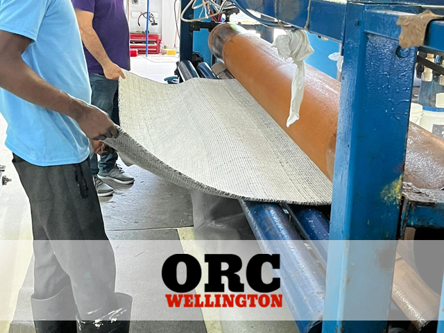 Pet Odor & Stain Removal Service Pet Odor & Stain Removal Service