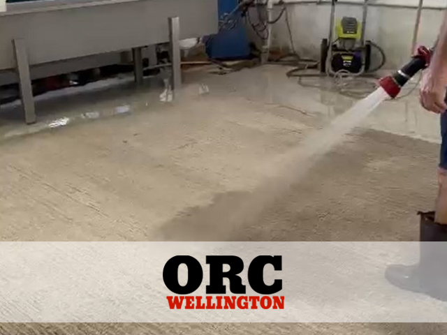 Expert Care Modern Rug Cleaning Service