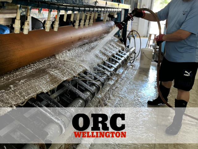 Expert Care Modern Rug Cleaning