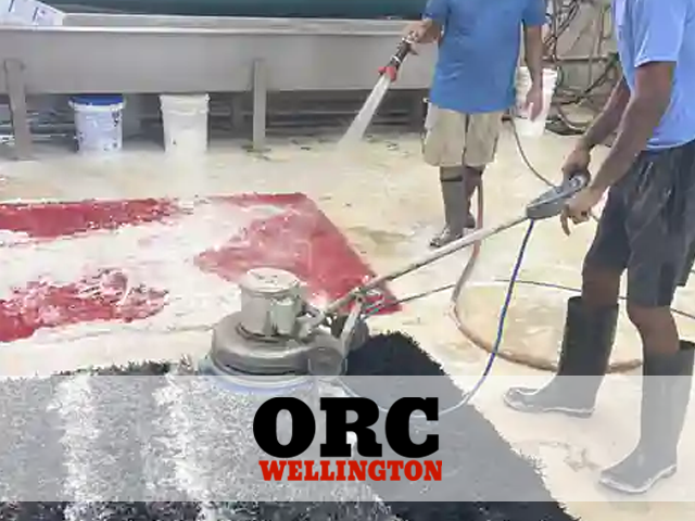 Expert Persian Rug Cleaning Service