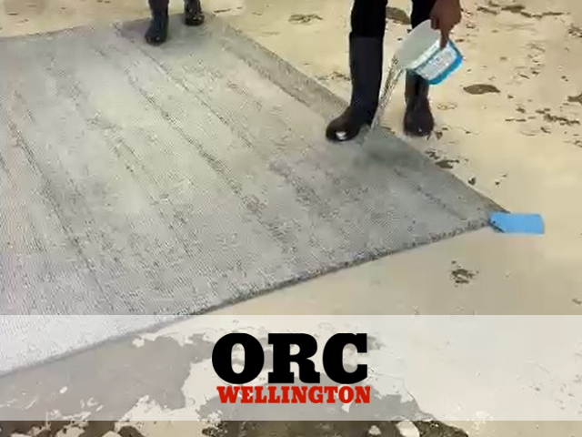 Expert Wool Rug Cleaning