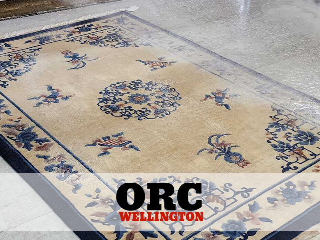 Pet Odor and Stain Removal Service