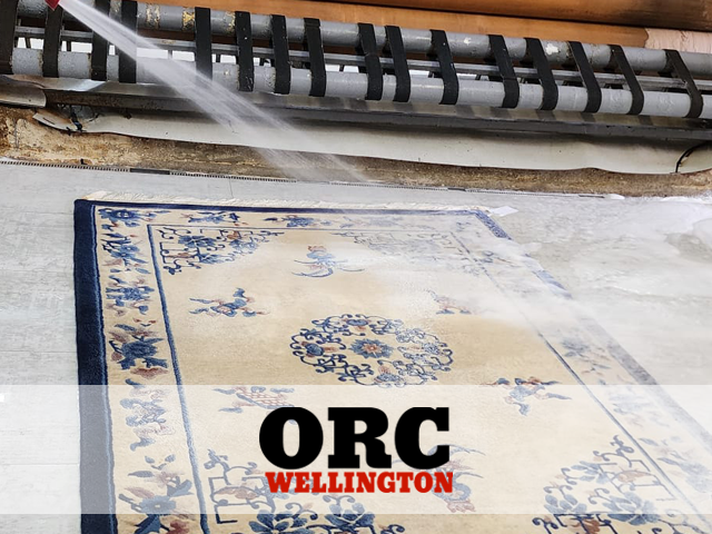 Pet Odor and Stain Removal