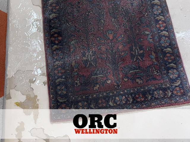 Antique Rug Cleaning