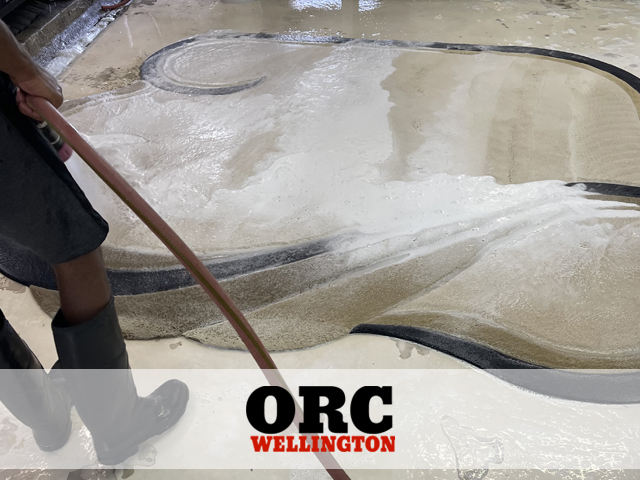 Area Rug Cleaning