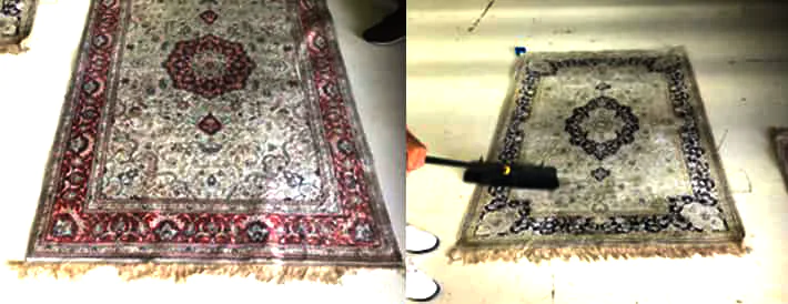 Area Rug Cleaners Wellington