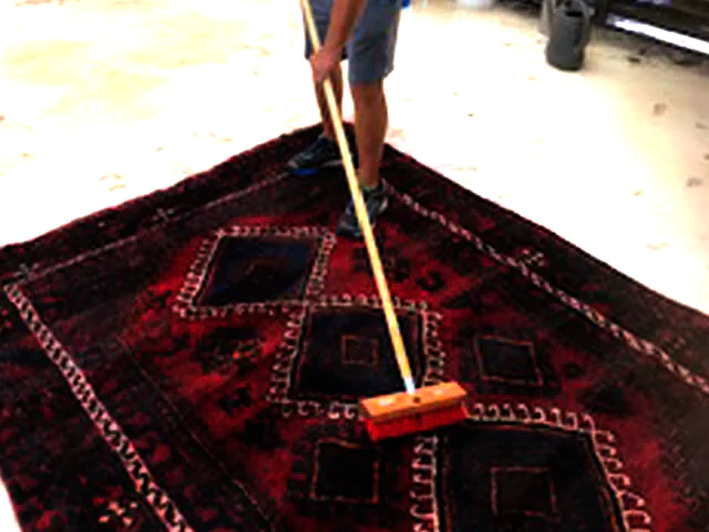 Area Rug Cleaning Wellington