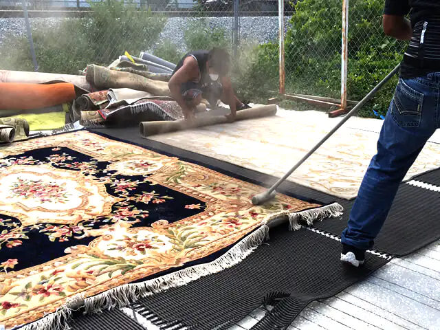 Oriental Rug Dusting Wellington