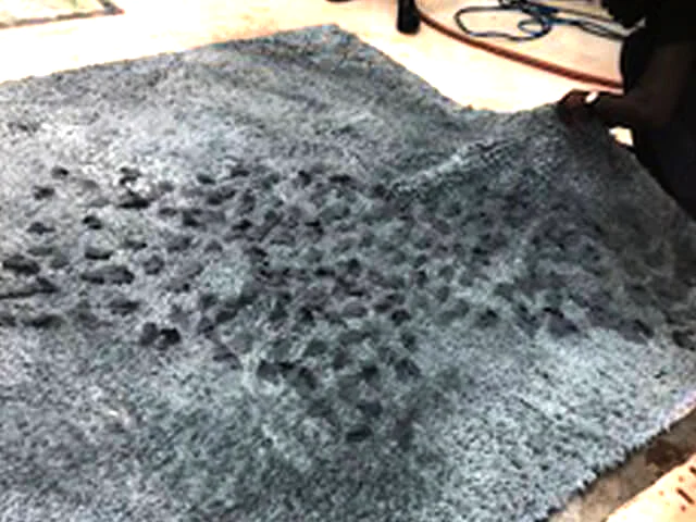 Wool Rug Cleaning Wellington